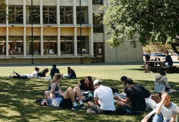 Students on oak lawn