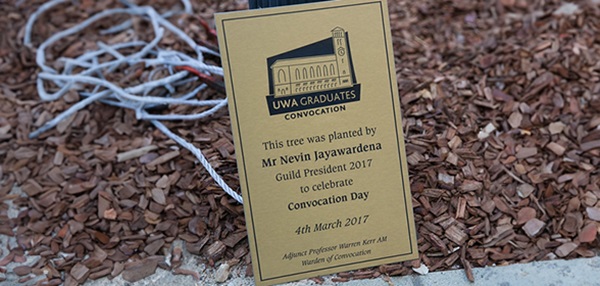 Convocation day plaque 2017