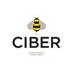 Ciber logo